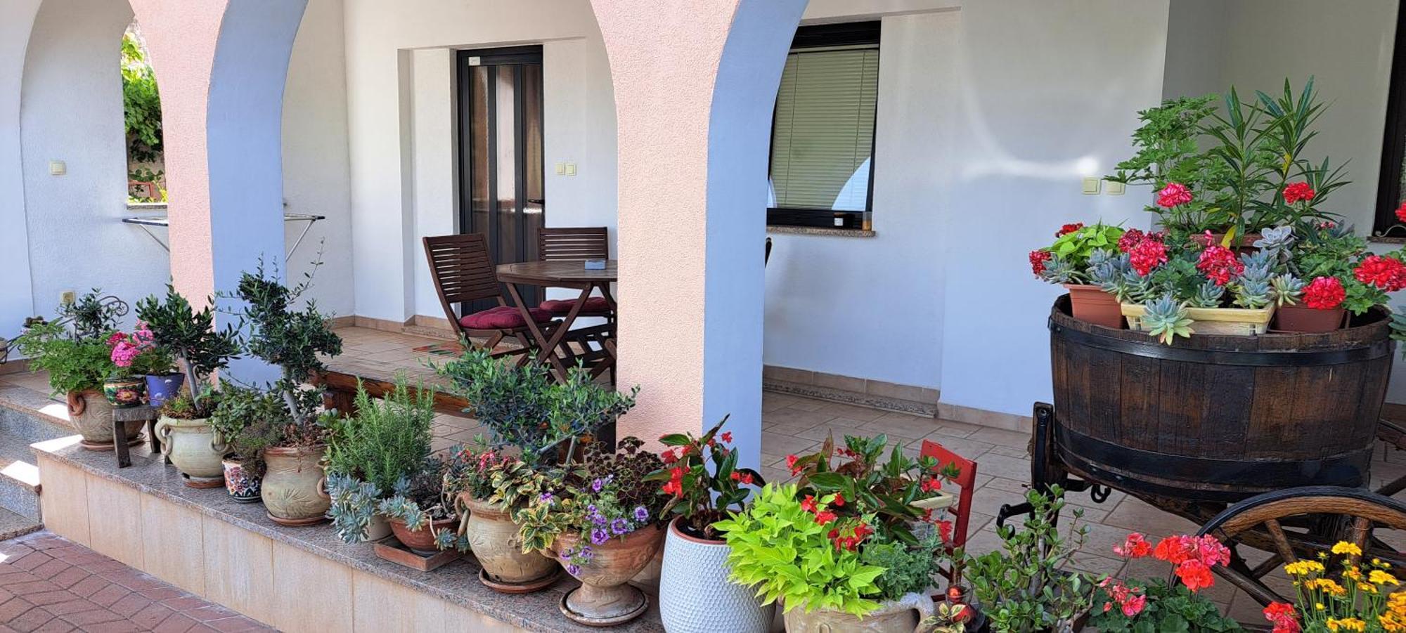 Apartmani Bubnic Umag Ngoại thất bức ảnh