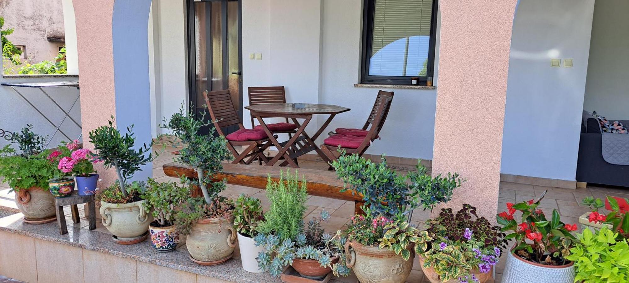 Apartmani Bubnic Umag Ngoại thất bức ảnh