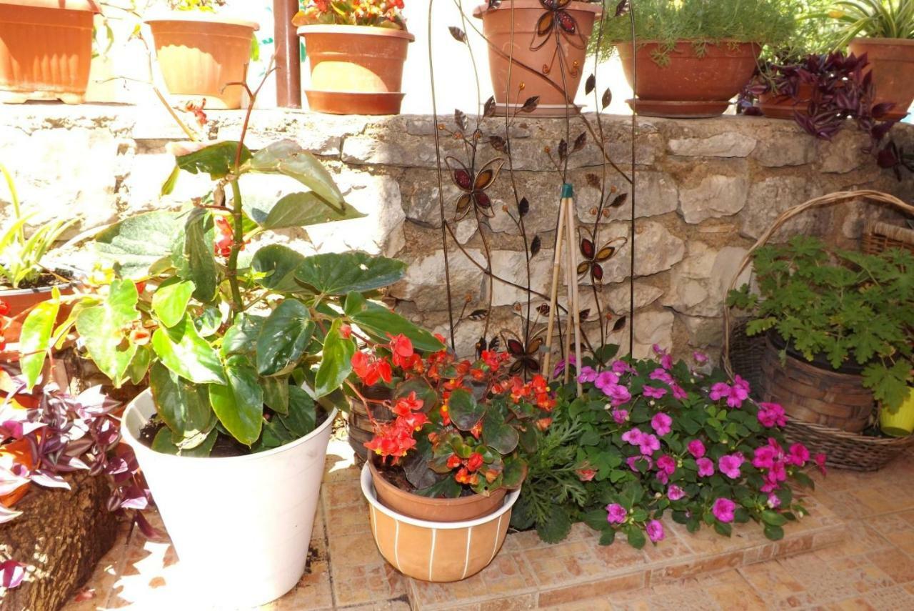 Apartmani Bubnic Umag Ngoại thất bức ảnh